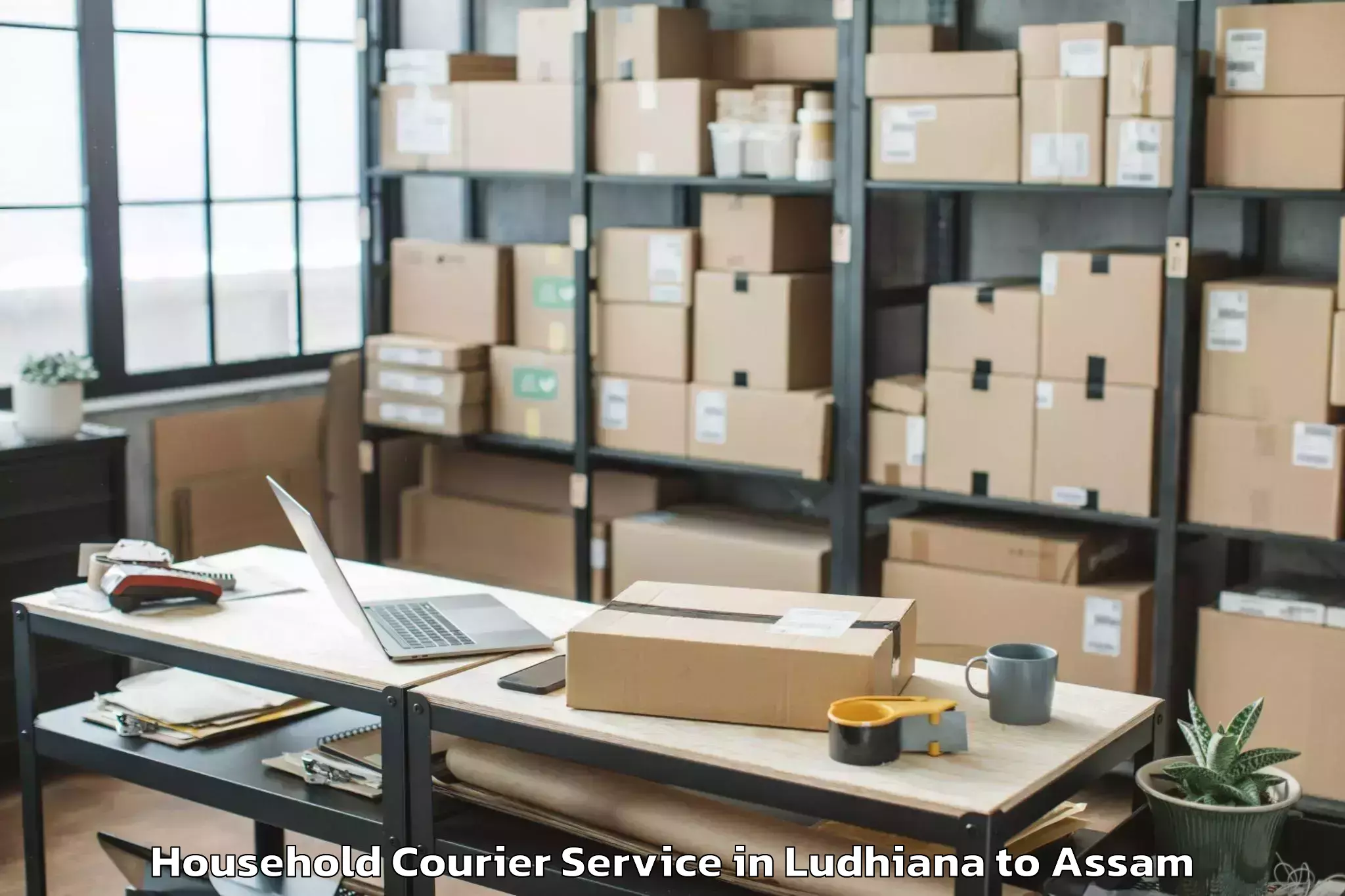 Ludhiana to Dhekiajuli Household Courier